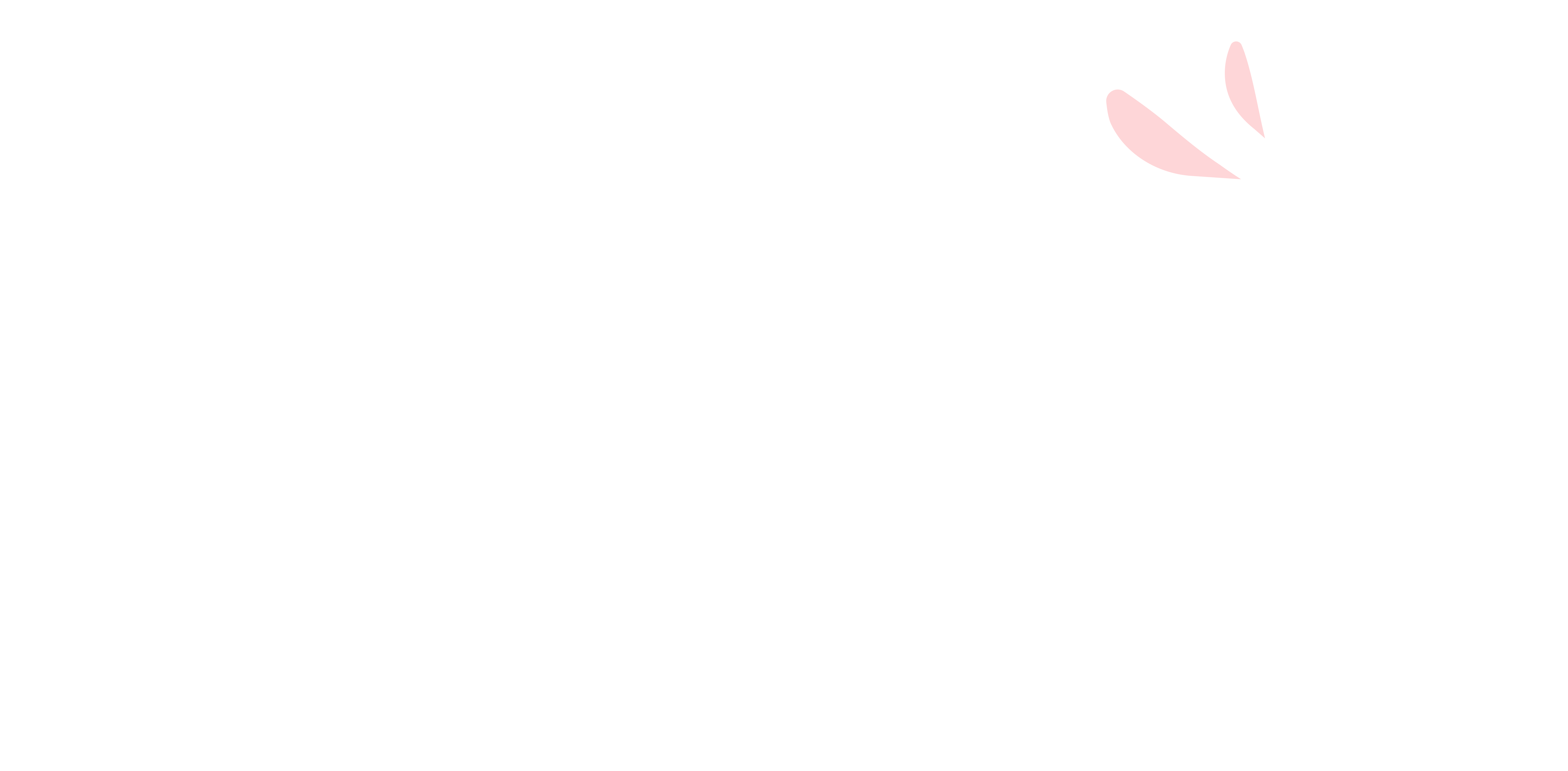 L'Envol des Libellules
